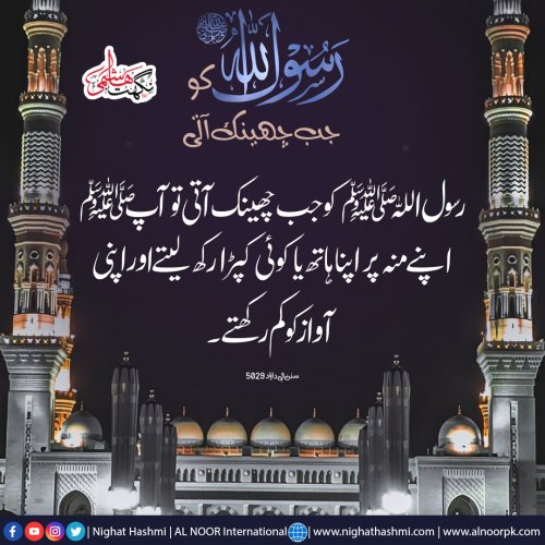 Photo post from nighathashmi.