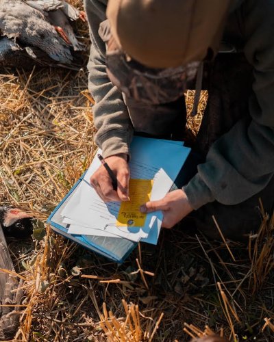 Photo post from northernskiesoutfitters.