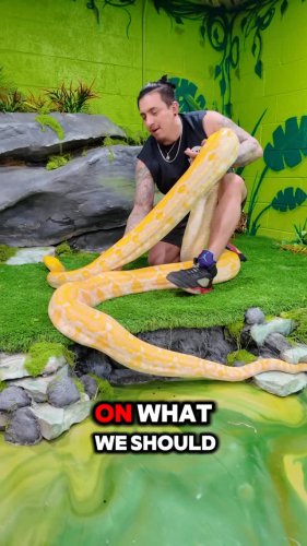 Video post from njexoticpets.