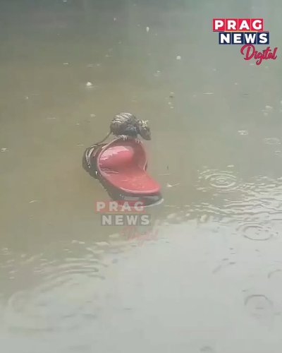 Video post from pragnewsofficial.