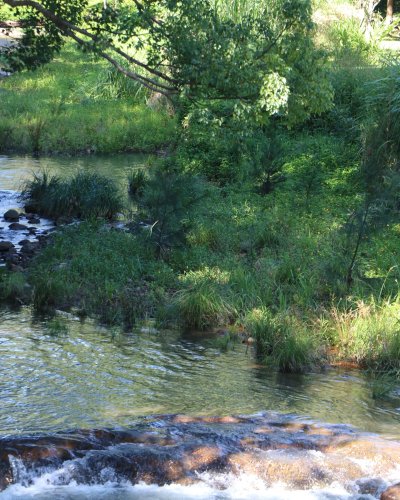 Photo post from currumbinvalleyharvest.