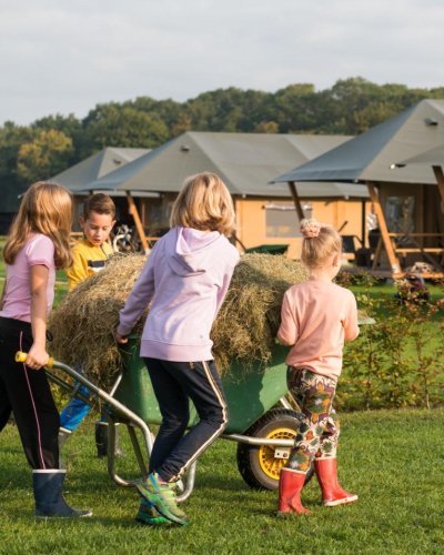 Carousel post from glampings.