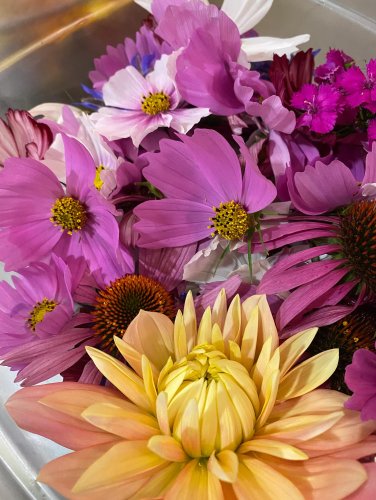 Carousel post from miditreizepontarlier.