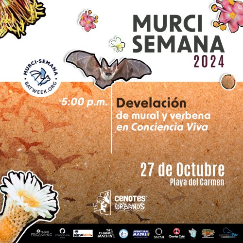 Photo post from murcisemana_oficial.