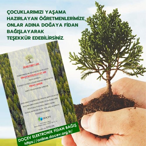 Photo post from dogavecevrevakfi.