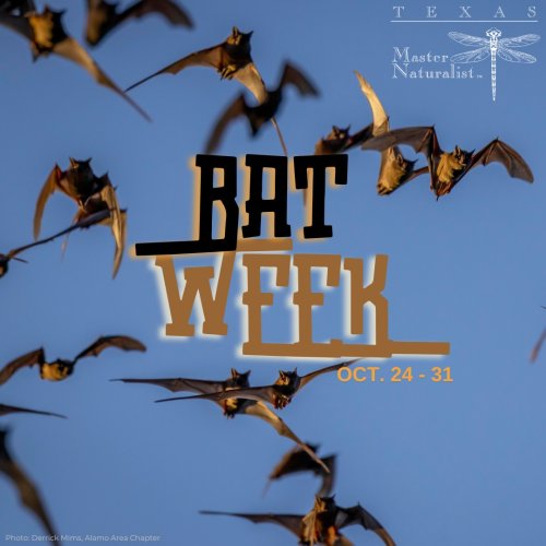 Photo post from texasmasternaturalist.
