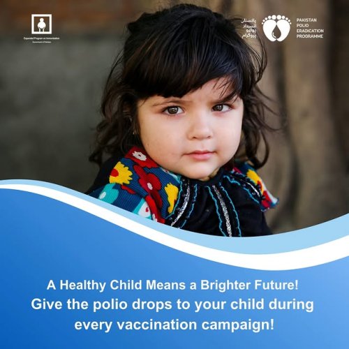 Video post from pakfightspolio.