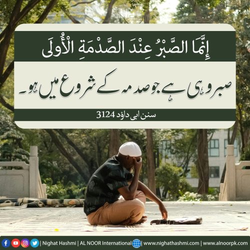 Photo post from nighathashmi.