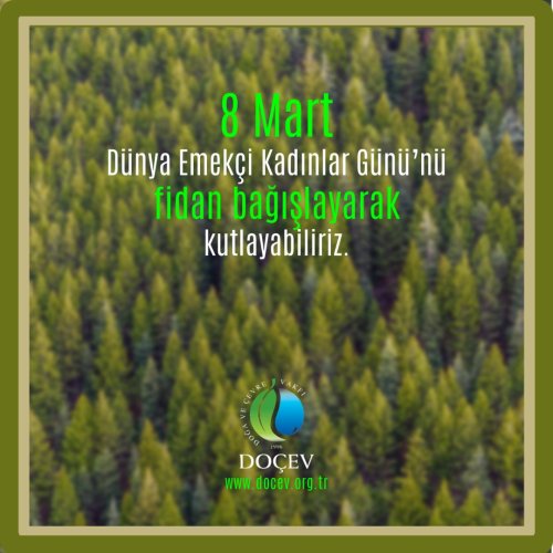 Photo post from dogavecevrevakfi.