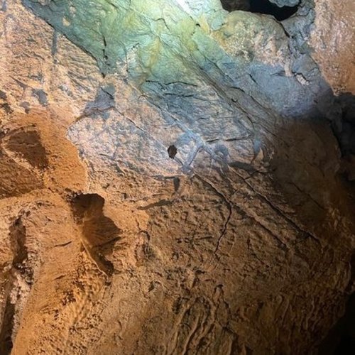 Carousel post from oregoncavesnps.