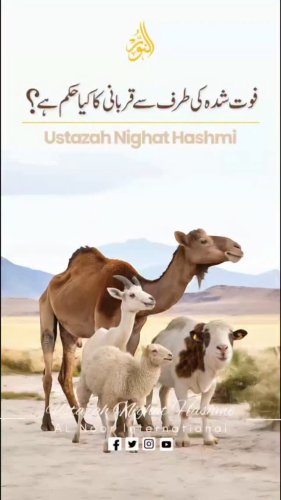 Video post from nighathashmi.