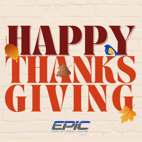 Photo post from epicvball.