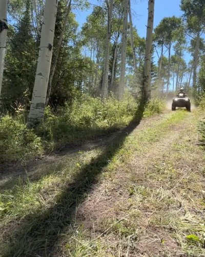 Photo post from bertsmegamall.