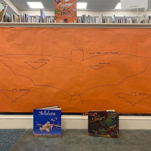 Photo post from bristollibrarychildren.