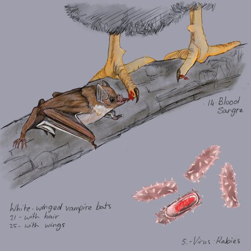 Photo post from artbyloesroos.