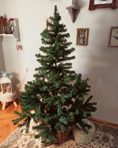 Photo post from oljaidevetpaunica.