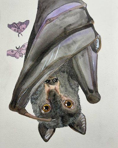 Carousel post from meganmoore_art.