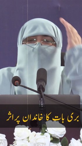 Video post from nighathashmi.