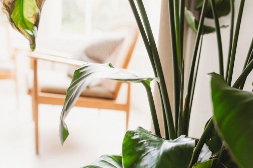 Carousel post from hotelvaratruro.