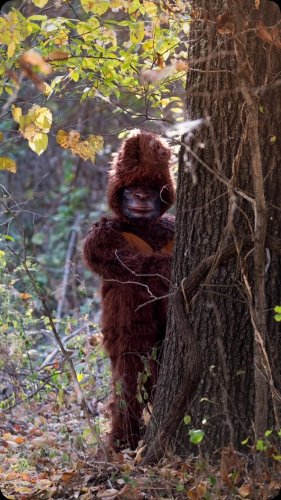 Video post from reddirthatco.