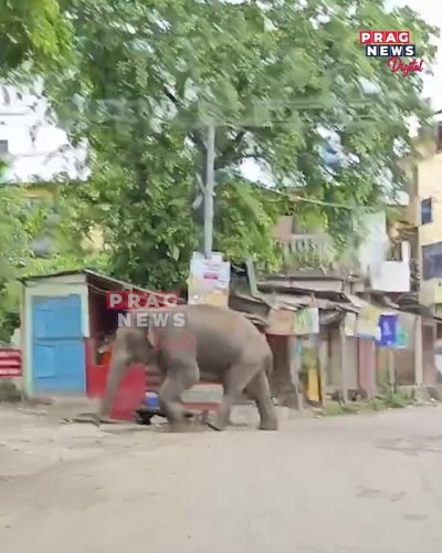 Video post from pragnewsofficial.