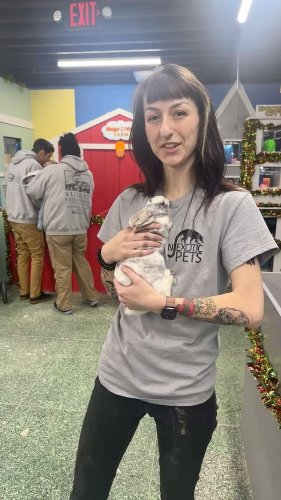 Video post from njexoticpets.