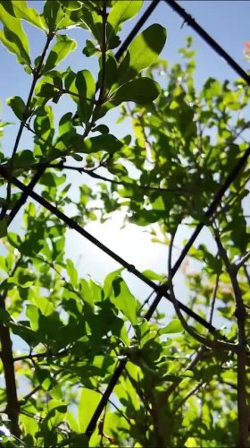 Video post from visittucson.