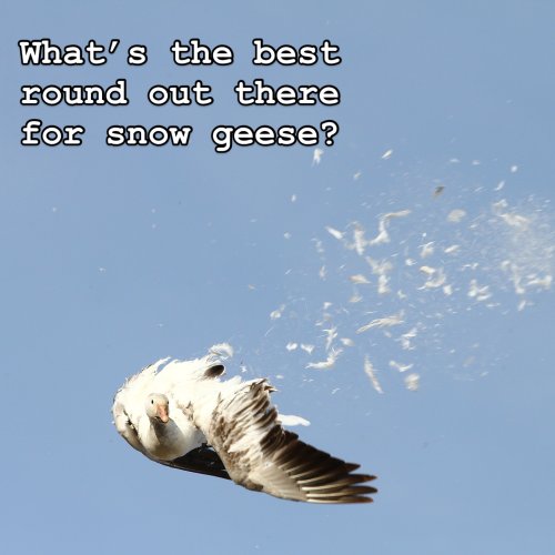 Photo post from northernskiesoutfitters.