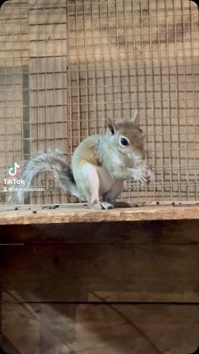 Video post from obermountain.