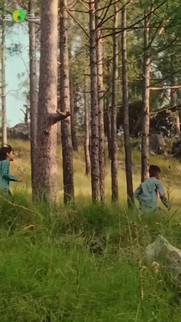 Video post from pakfightspolio.