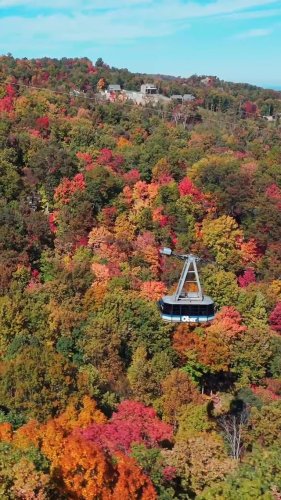 Video post from thegatlinburgtram.