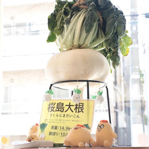 Carousel post from city_shibuya_official.