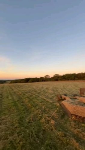 Video post from crowmarshbattlefarms.