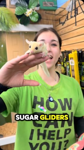 Video post from njexoticpets.