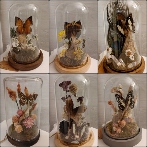 Photo post from niftygiftynorfolk.