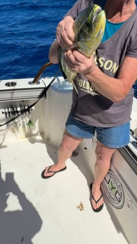 Video post from ejs_fishing_charters.