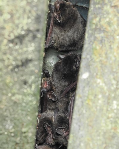 Photo post from my_wildlife_diary_.
