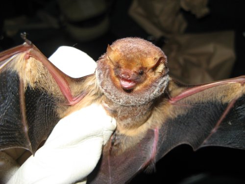 Photo post from myfwc.