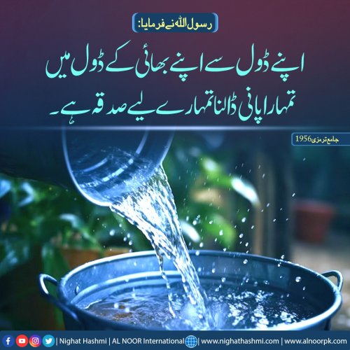 Photo post from nighathashmi.