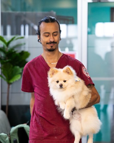 Photo post from medicalpettj.