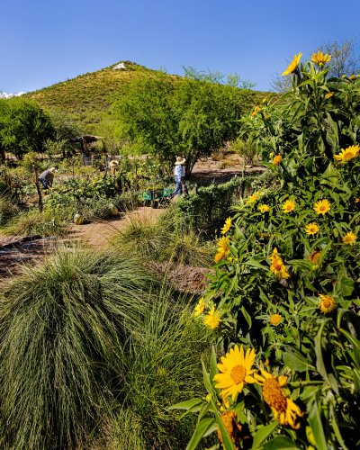 Photo post from visittucson.