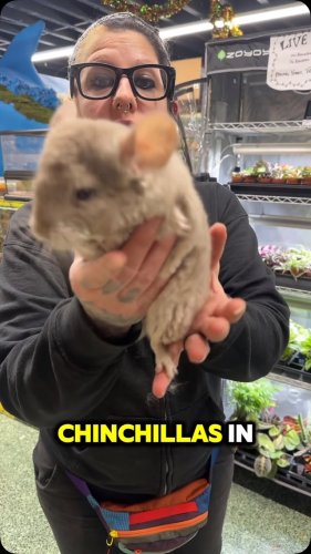 Video post from njexoticpets.