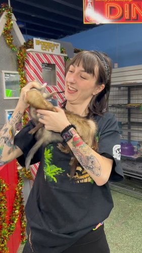 Video post from njexoticpets.
