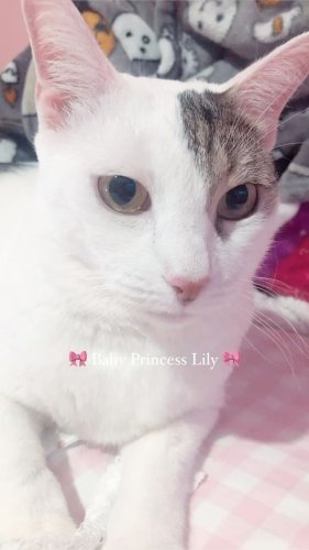 Video post from margaritabloom.