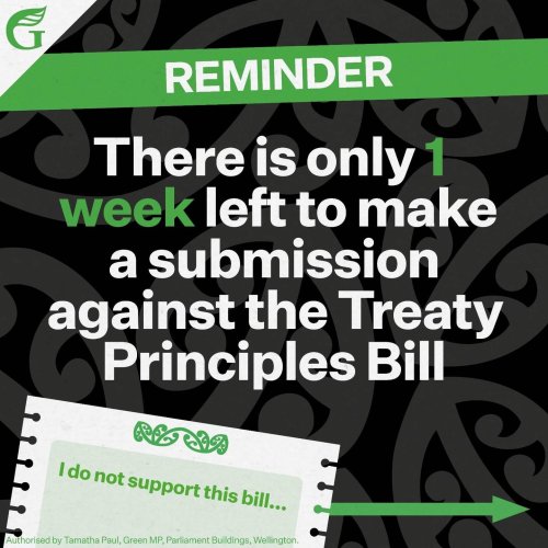 Carousel post from nzgreenparty.