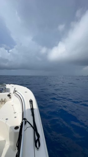 Video post from ejs_fishing_charters.