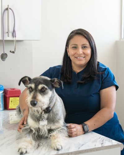 Photo post from medicalpettj.