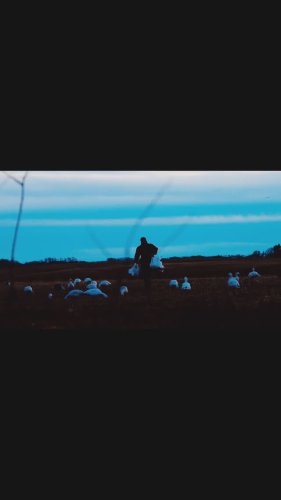 Video post from northernskiesoutfitters.