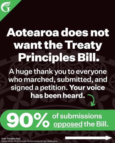 Carousel post from nzgreenparty.