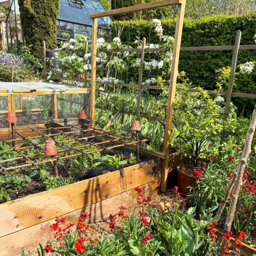 Photo post from gardenhousebrighton.